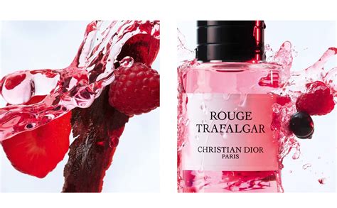 buy dior trafalgar